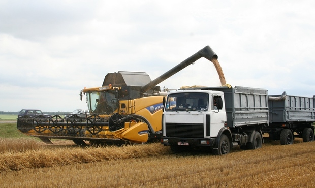 Більше 100 аграрних білоруських підприємств визнано банкрутами і ще 323 підлягають санації