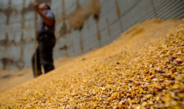 Працівники луцького банкрутуючого підприємства страйкують через зарплатні борги