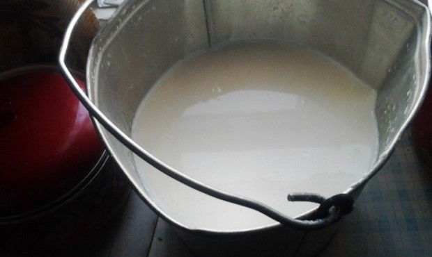Компанія «Галичина» обіцяє виплатити селянам борги за молоко цього року