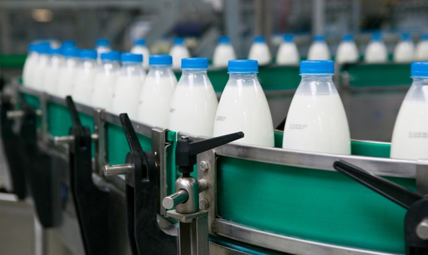 Український виробник сиру ліквідує своє підприємство в РФ