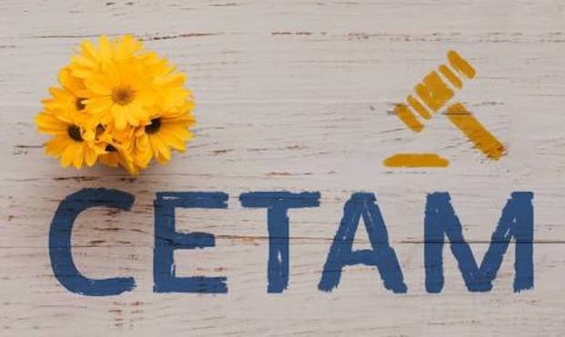 СЕТАМ продає найбільший лот в своїй історії