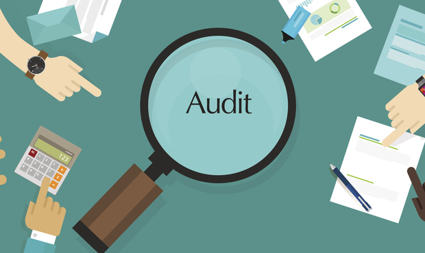 ЗМІ: НБУ планує на березень публікацію результатів аудиту Приватбанку