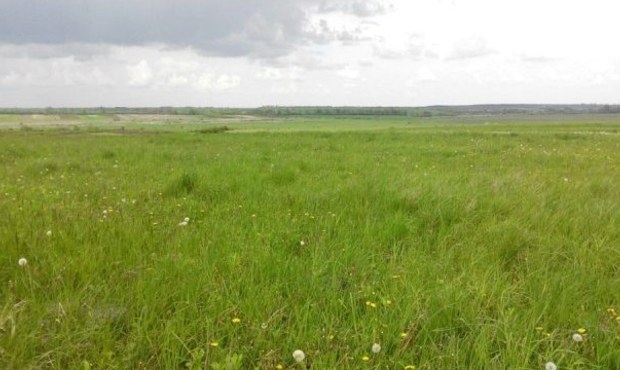 У компанії «Віп-ойл» забрали земельну ділянку через борги